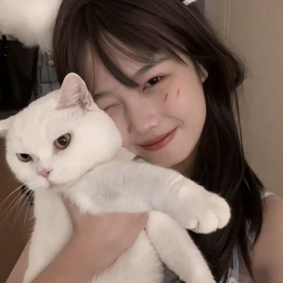 美职篮征程手游下载