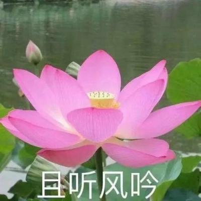 九游剑啸九州手游下载
